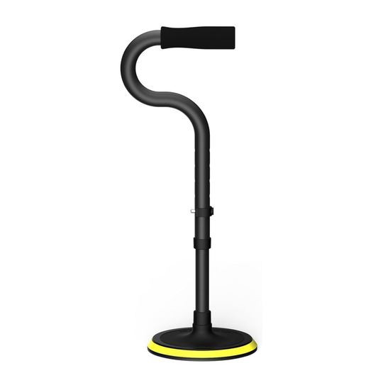 Standing Aid