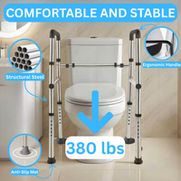 SafeRise Toilet Rail