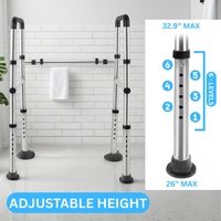 SafeRise Toilet Rail